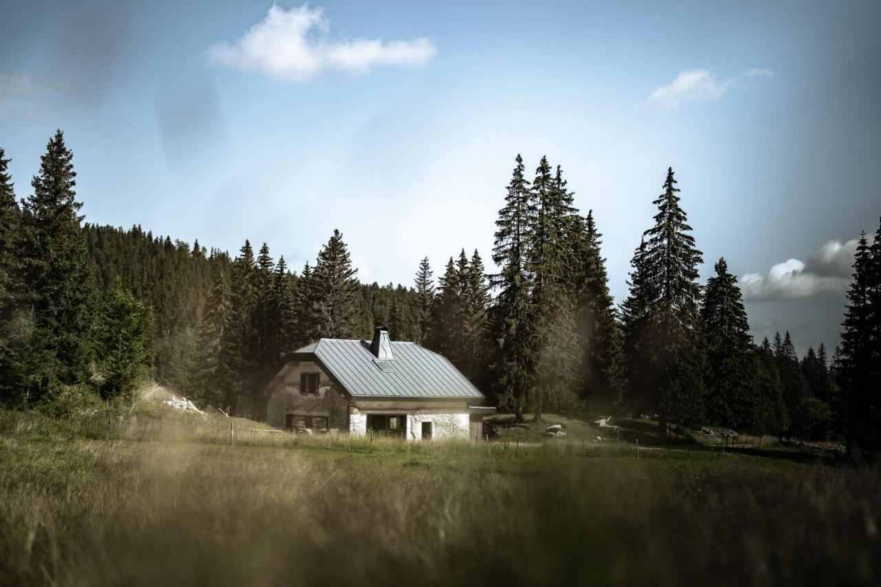 La Loge De La Dolarde - Chambre Nord-Est Hotel Premanon Bagian luar foto
