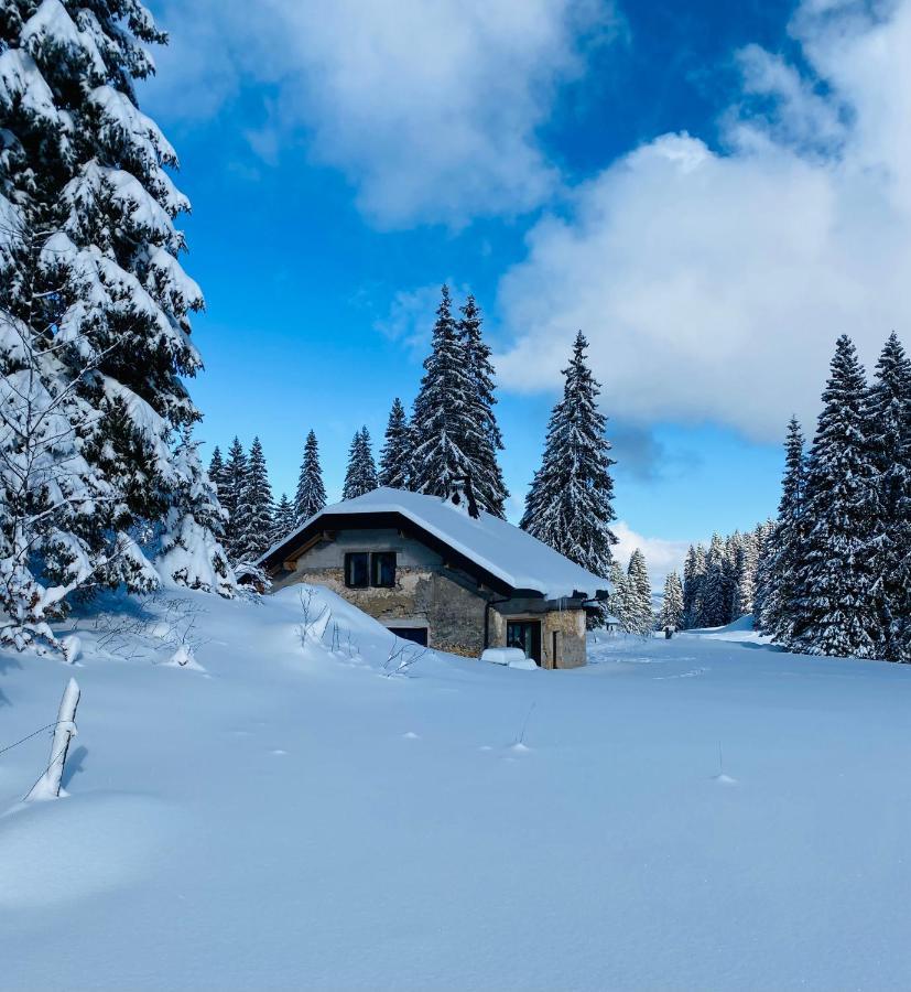 La Loge De La Dolarde - Chambre Nord-Est Hotel Premanon Bagian luar foto