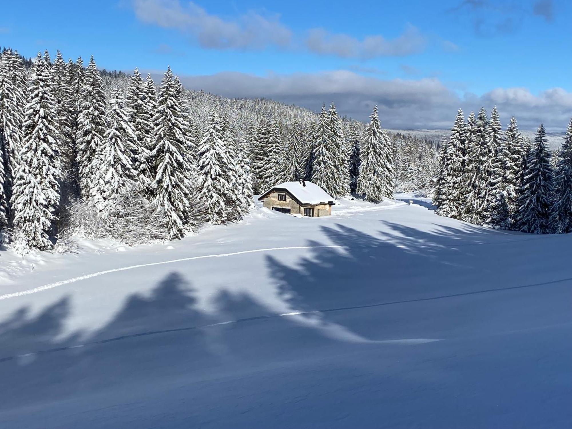 La Loge De La Dolarde - Chambre Nord-Est Hotel Premanon Bagian luar foto